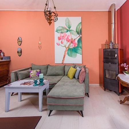 Aegina'S Flowers House 外观 照片