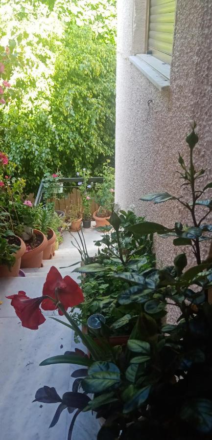 Aegina'S Flowers House 外观 照片
