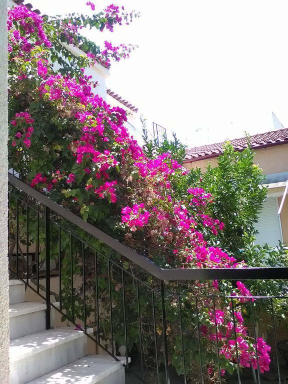 Aegina'S Flowers House 外观 照片