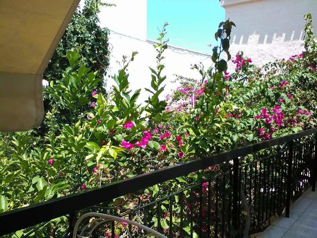 Aegina'S Flowers House 外观 照片