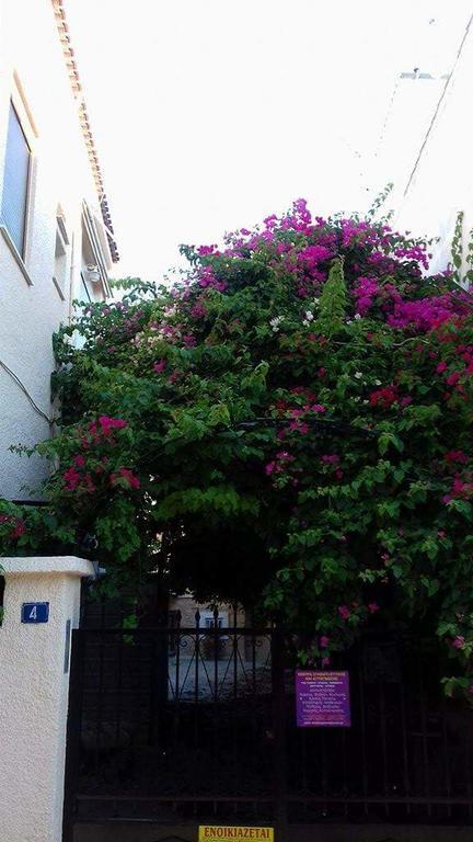Aegina'S Flowers House 外观 照片