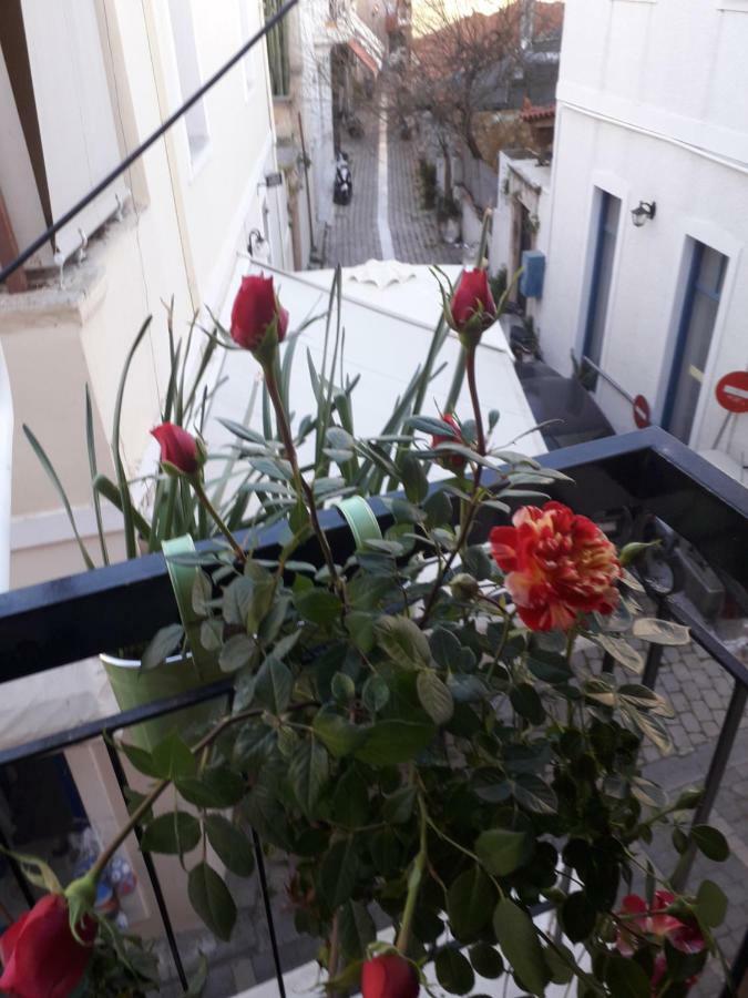 Aegina'S Flowers House 外观 照片