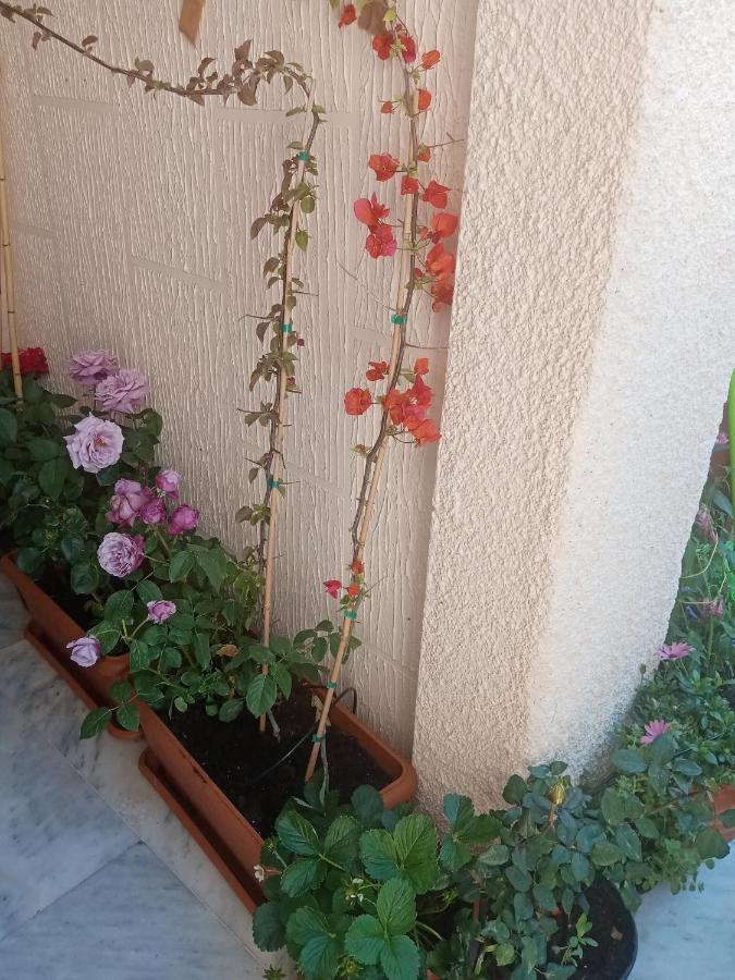 Aegina'S Flowers House 外观 照片