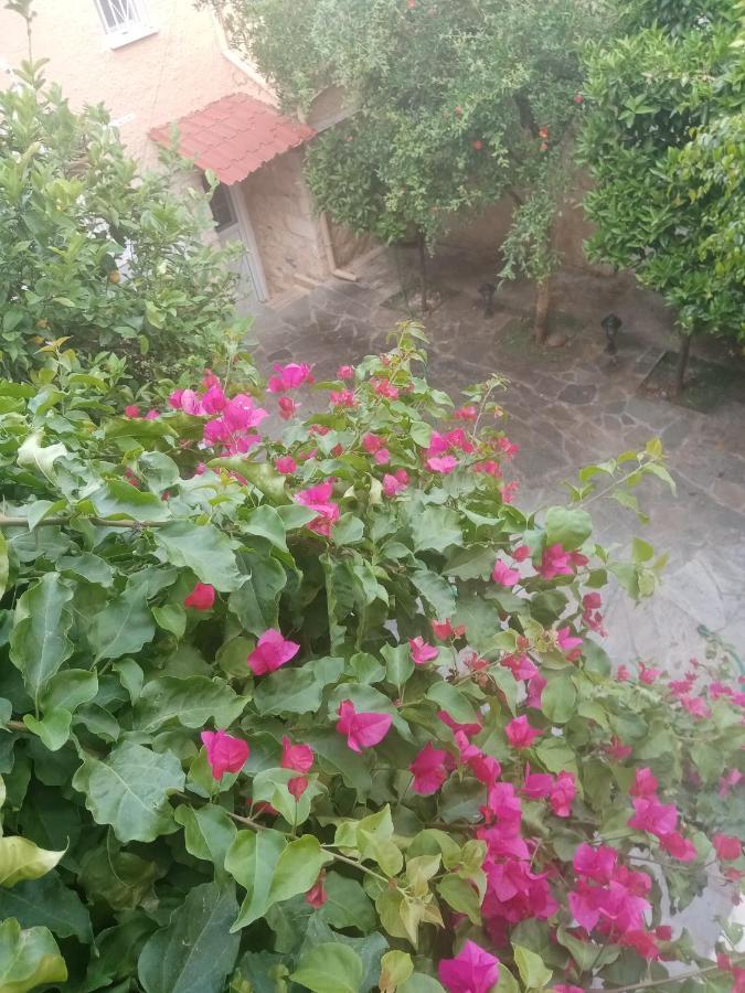 Aegina'S Flowers House 外观 照片